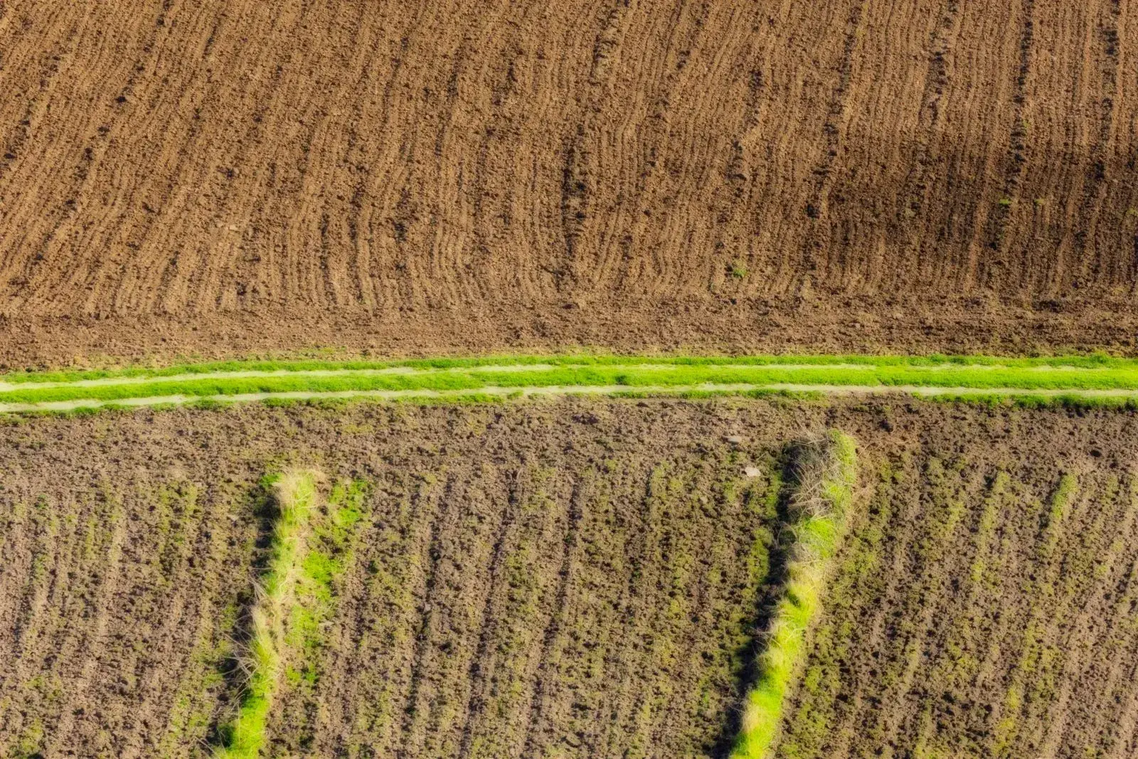 Ploughed fields crossed by a green strip, seen from above